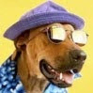 Meet your Posher, Clair